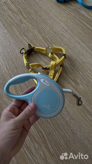 Поводок, рулетка, шлейка, ошейник