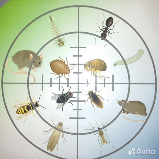 Очистка.Дезинфекция. Бюджетно