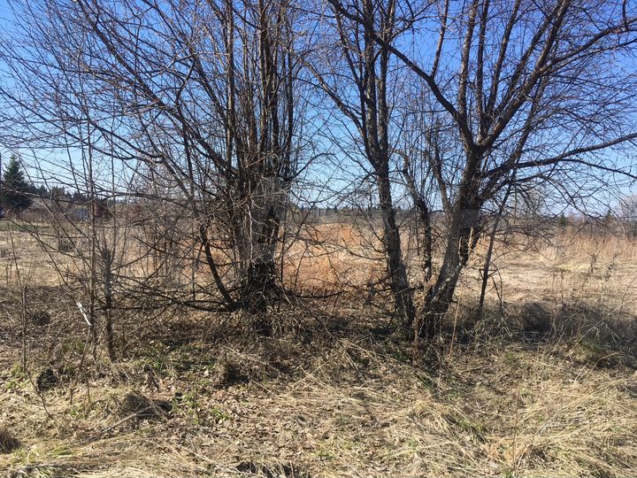 Участок 25 сот. (СНТ, ДНП)