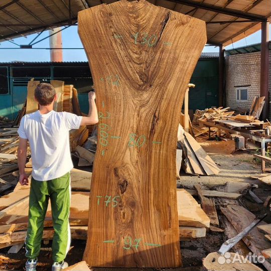 Слэбы карагач