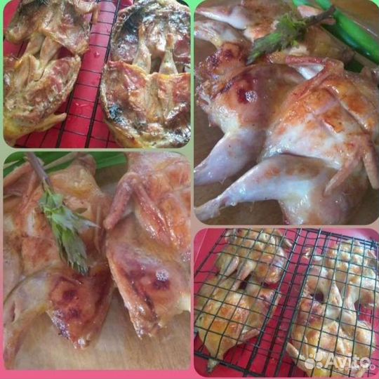 Мясо перепелов