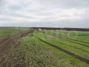 Участок 1,37 га (ИЖС)