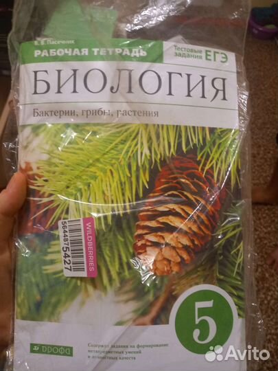 Учебники школьные 5-7,8 классы