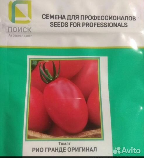Рассада томатов