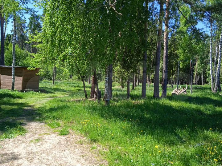 Участок 3,04 га (СНТ, ДНП)