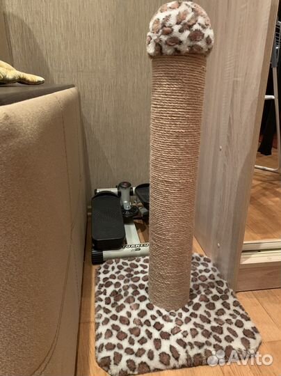 Когтеточка