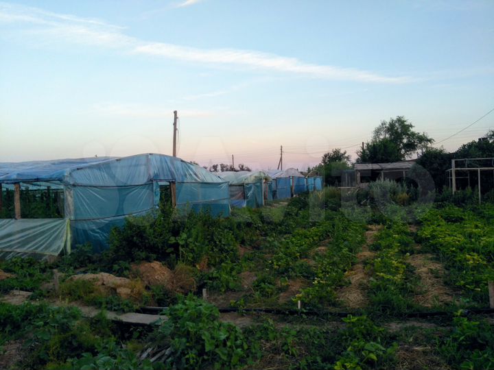 Дом 50 м² на участке 50 сот.