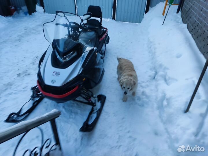 Frontier 1000