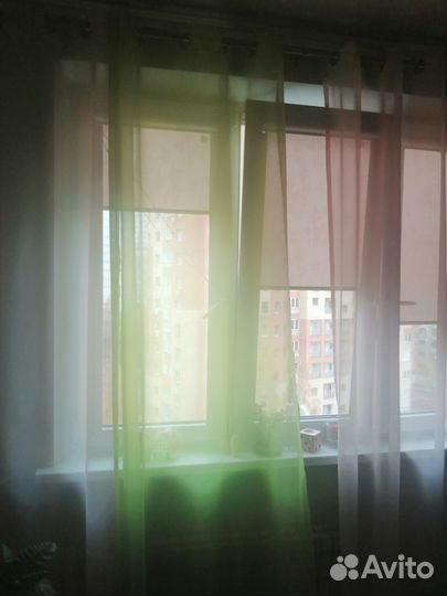 Шторы прозрачные 4 шт на люверсах Bonprix bpc