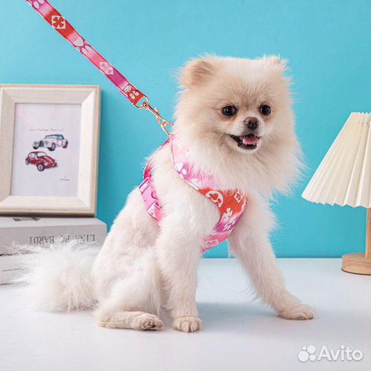 Шлейка-ошейник для собак, кошек, кроликов