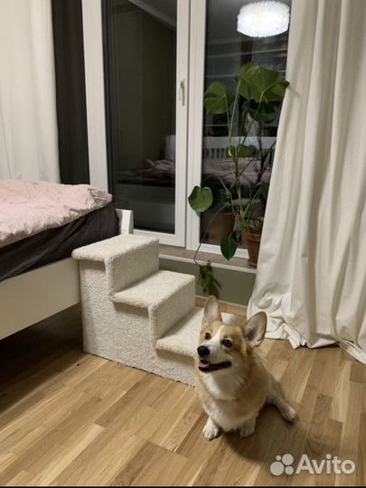 Лесенка для собак