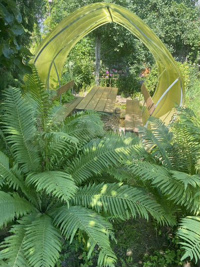 Участок 4 сот. (СНТ, ДНП)