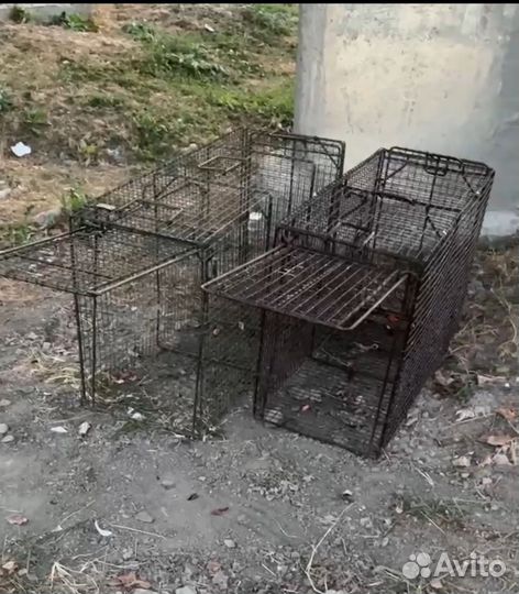 Ловец животных