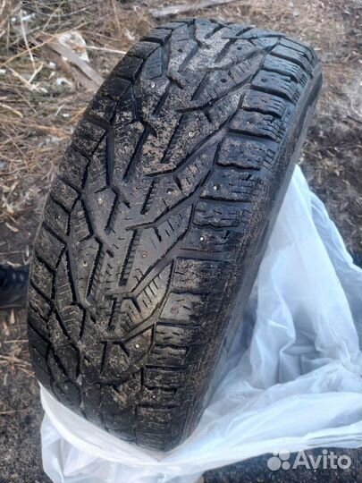 Tigar Ice 205/55 R16