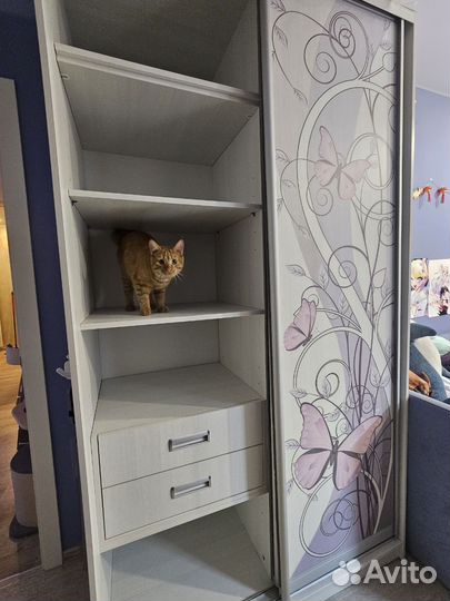 Шкаф-купе Леди фабрики Scand