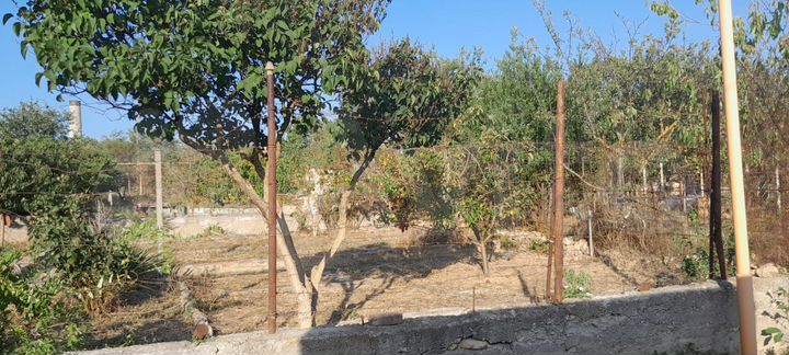 Участок 4 сот. (СНТ, ДНП)