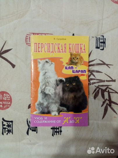 Персидская кошка. Уход и содержание