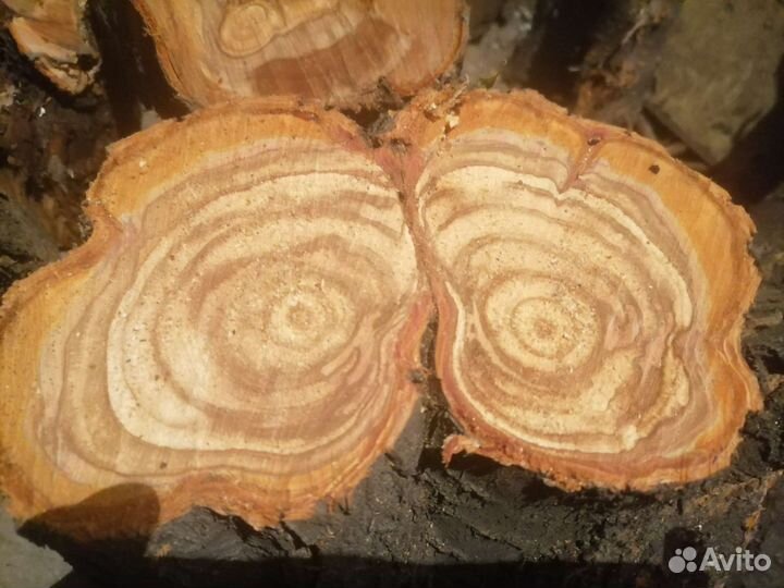 Слива для поделок слэб