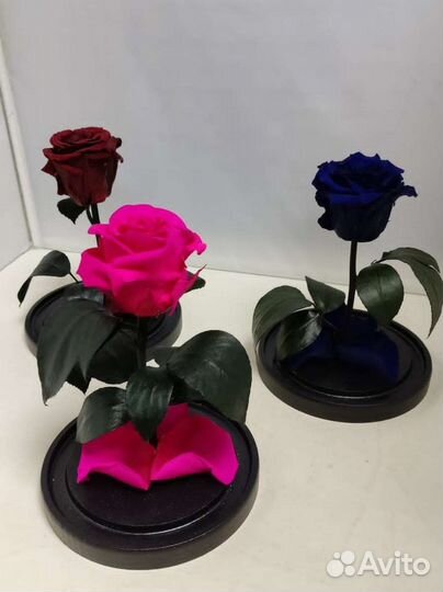 Роза в колбе оптом