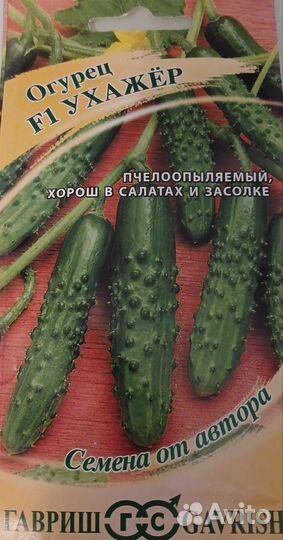 Огурцы свежие сорта Ухажер