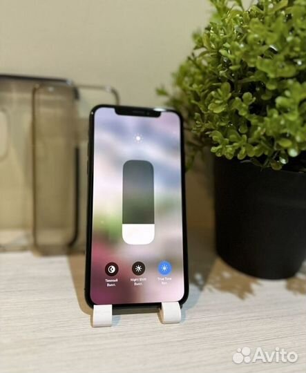 iPhone X, 256 ГБ