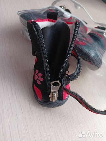 Обувь для собаки
