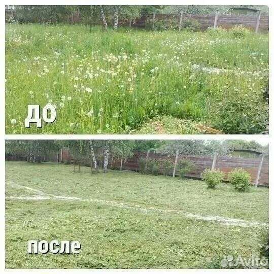 Покос травы