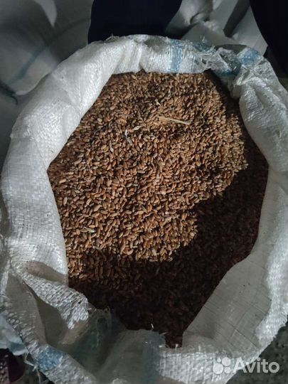 Корма для животных и птиц