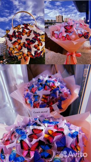 Букет из бабочек