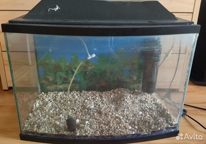 Аквариум с фильтром