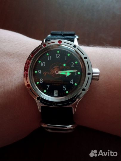 Амфибия 420380