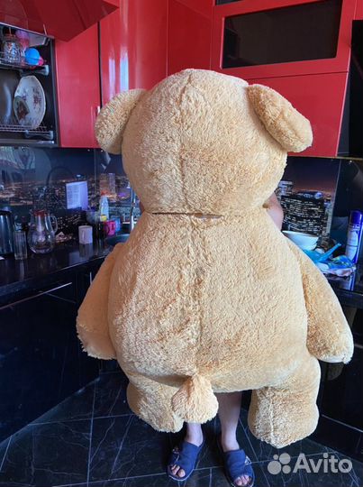 Плюшевый медведь
