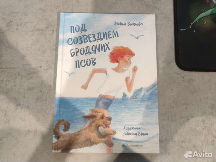 Под Созвездием Бродячих Псов