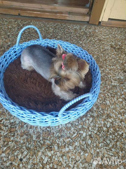 Лежанка для животных