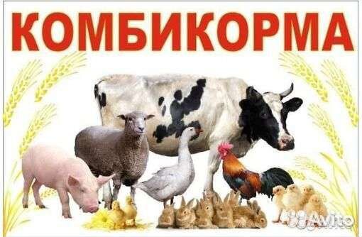 Комбикорма