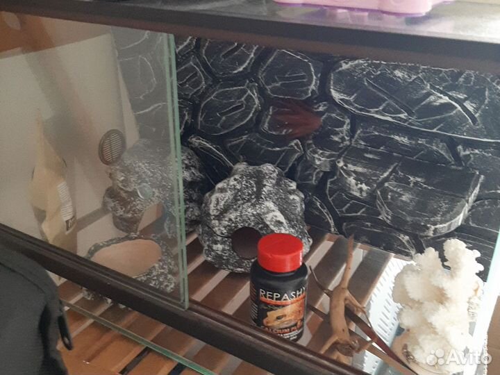 Террариум для эублефара