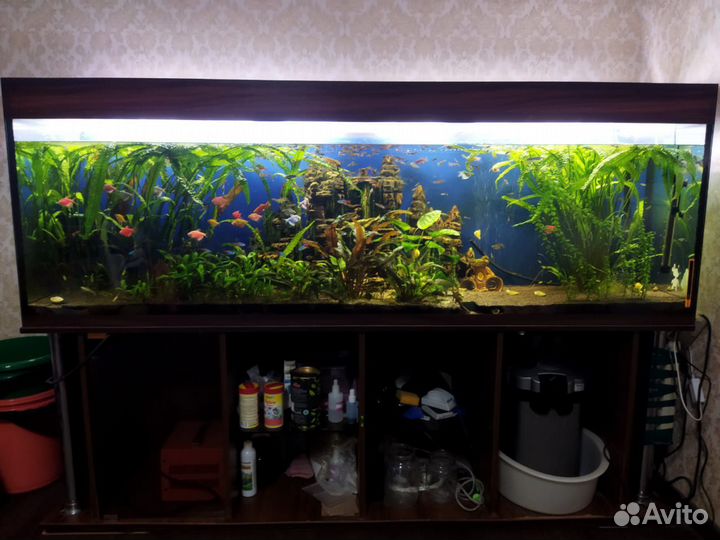 Аквариум