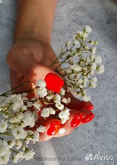 Маникюр,Педикюр