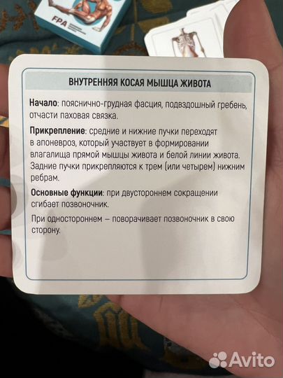 FPA Карточки для изучения мышц человека