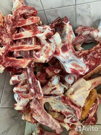 Кости говядина для собак