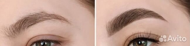 Мастер бровист