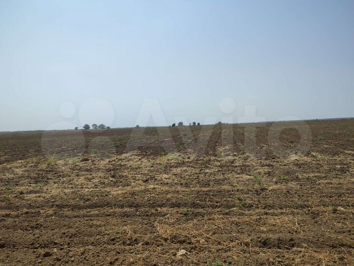 Участок 16 га (СНТ, ДНП)