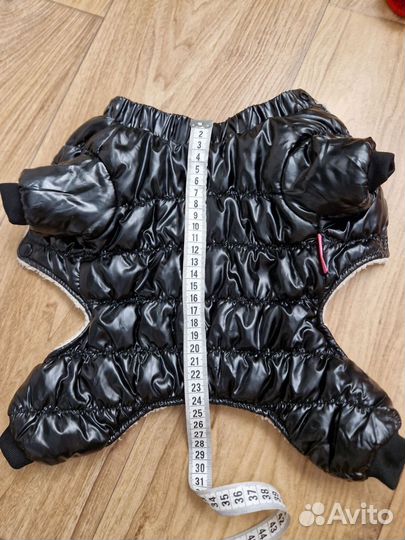 Одежда для собак