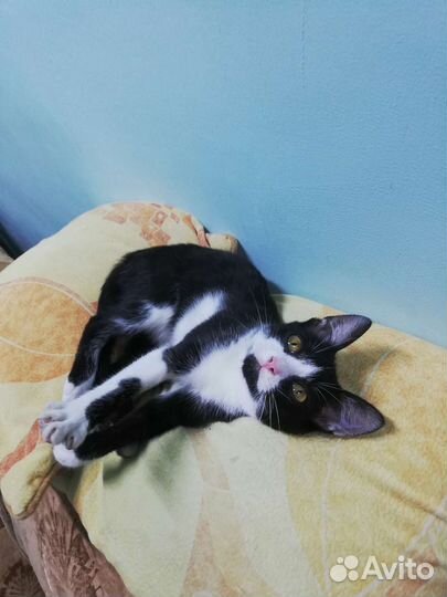 Ласкуша и красавица Мила ждёт Вас