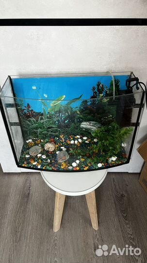 Аквариум 25л