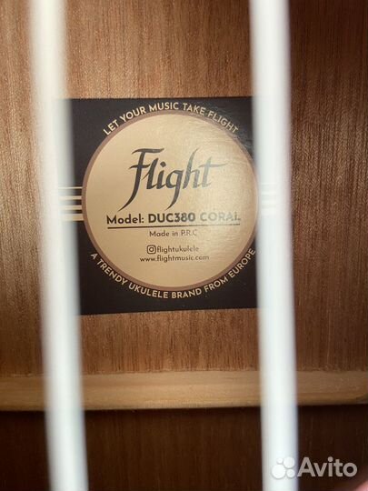 Укулеле flight концерт