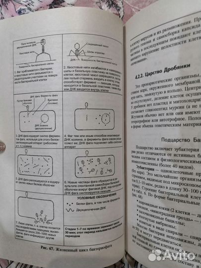 Книга-репетитор по биологии ЕГЭ, ОГЭ
