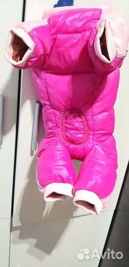 Комбинезон для собаки