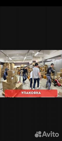 Грузоперевозки/грузчики/газели/Вывоз Мусора