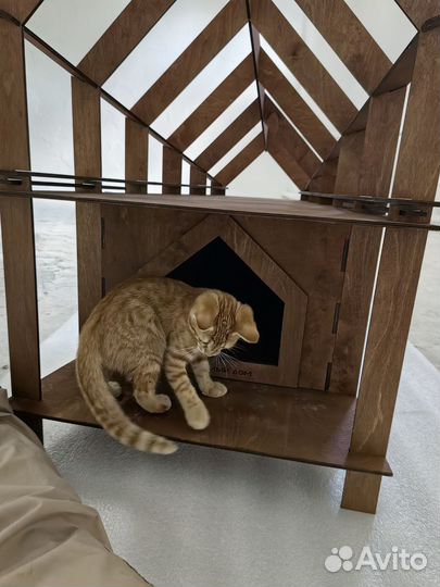 Барнхаус домик для кота или собаки